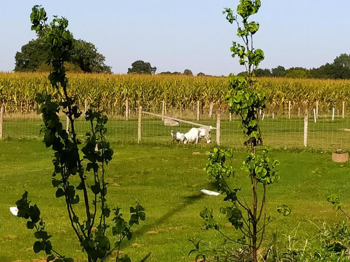 De Vrije Wei Broekland (Gelderland) Extérieur photo